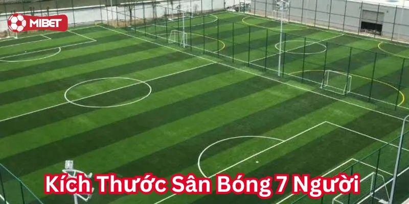 Kích Thước Sân Bóng 7 Người 2024 có gì?
