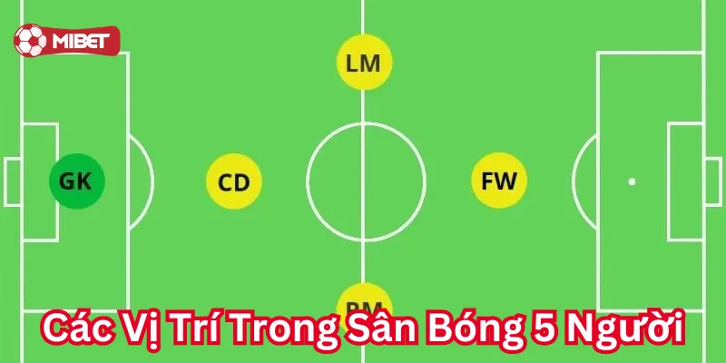 Các Vị Trí Trong Sân Bóng 5 Người là gì?