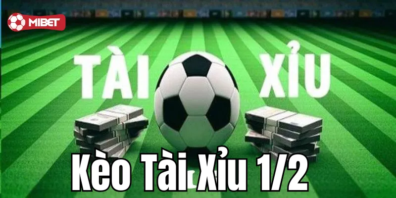 Hướng dẫn bạn cách phân tích kèo tài xỉu 1/2