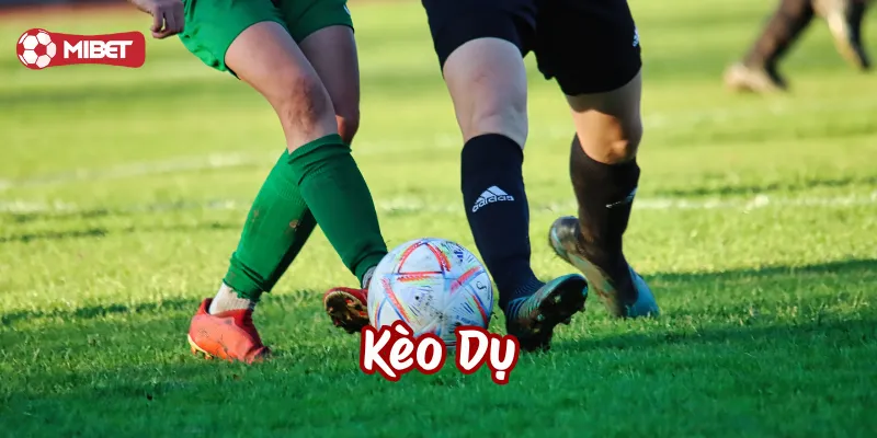 Kèo Dụ Tài Xỉu là như thế nào?